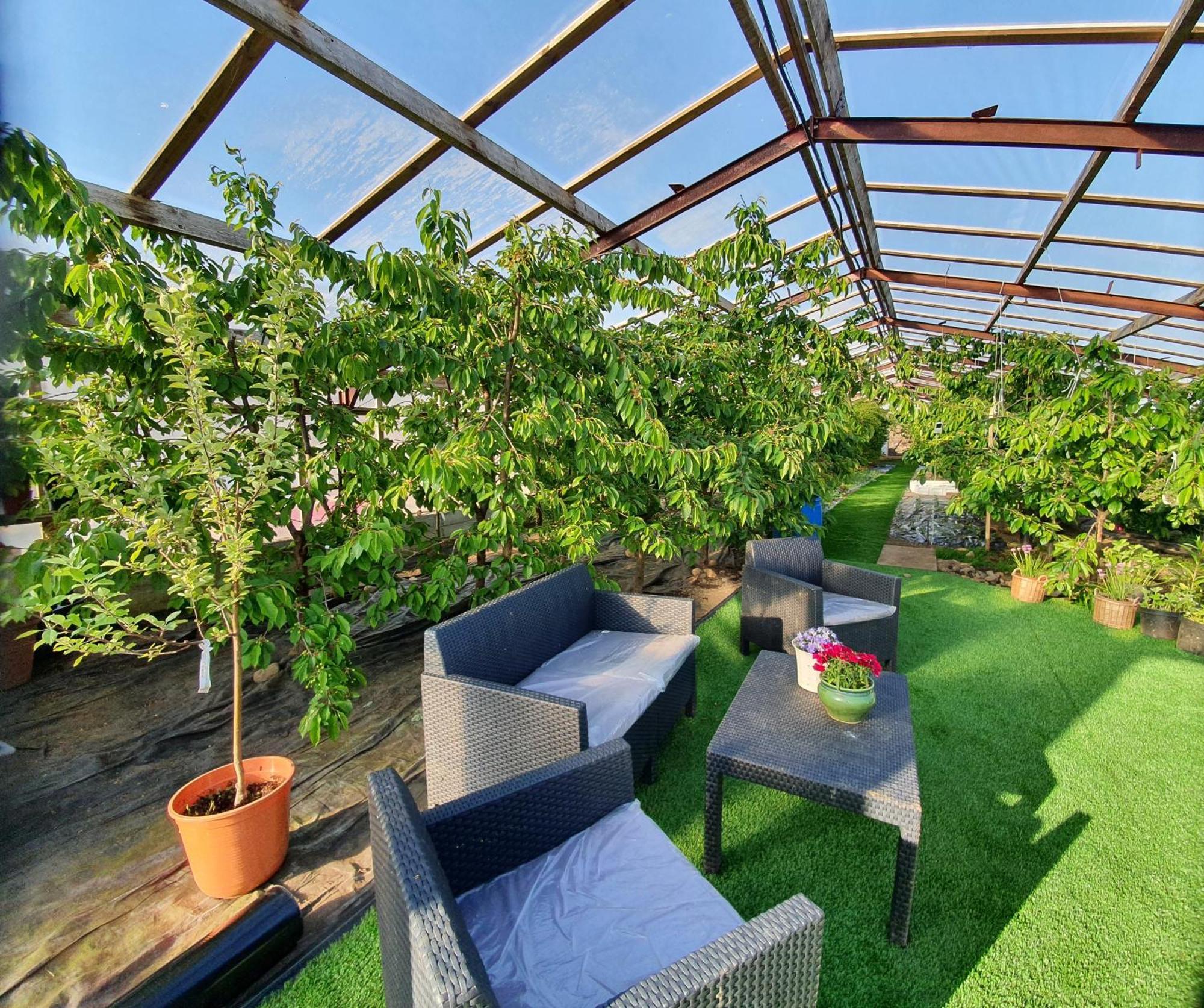 Svansholl Apartments Kaldrananes Zewnętrze zdjęcie